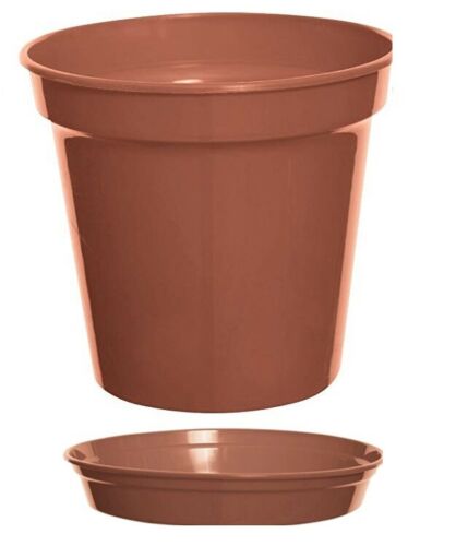 Whitefurze 25cm 10inch Pot TC - G042243